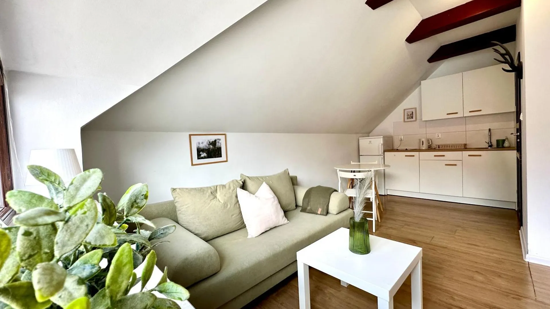 Apartment Studio Lesny Zubr IV Gdansk